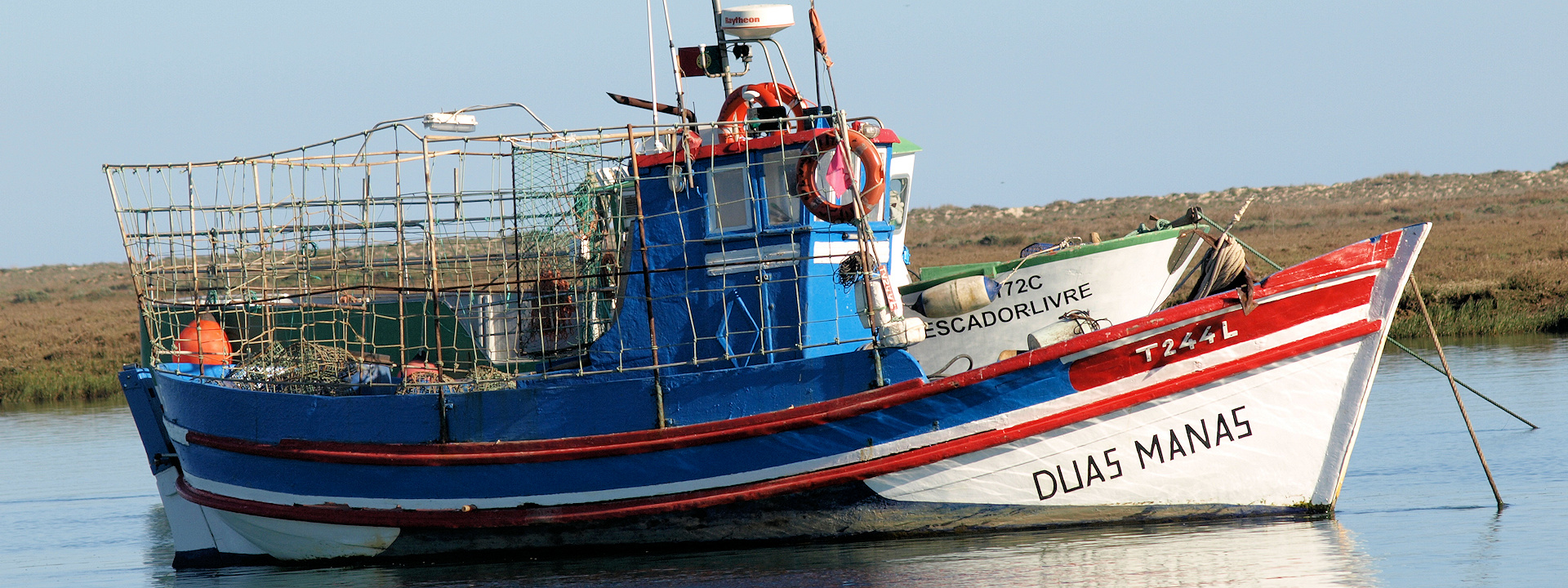 Create Without Limits